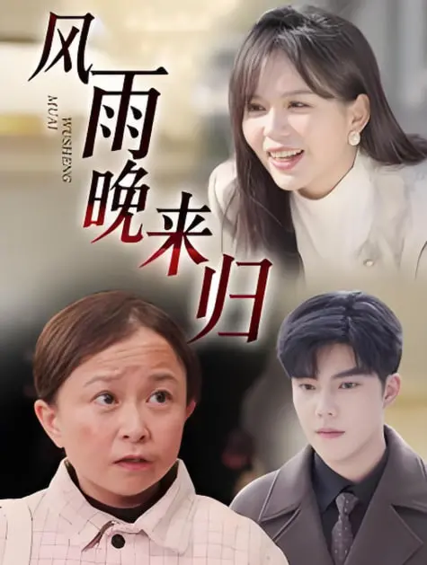 《风雨晚来归》：迟暮英雄的无奈与坚守，重温那段峥嵘岁月，催泪力作！