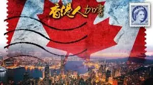 《香港人加书》：一部关于身份认同与文化传承的温暖之作