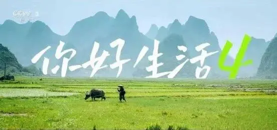 《你好生活 第四季》：暖心回归！品味生活百味，笑泪交织的家庭温情新篇章